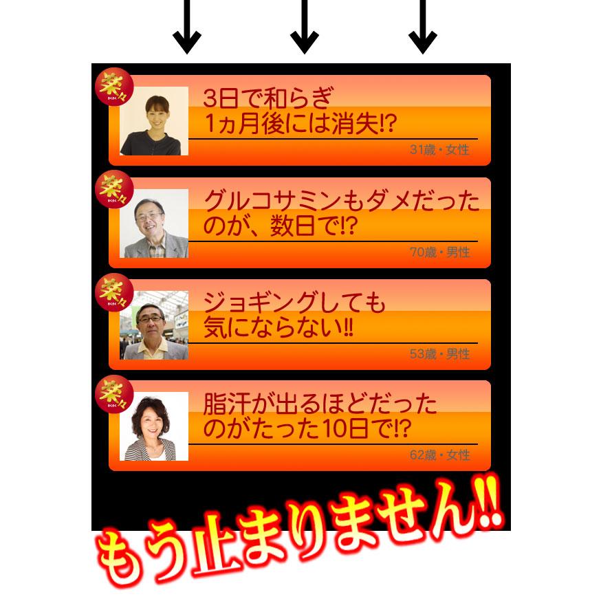 新型コラーゲン｜楽々軽快コラーゲン60粒(3個セット 3ヶ月分) 非変性2