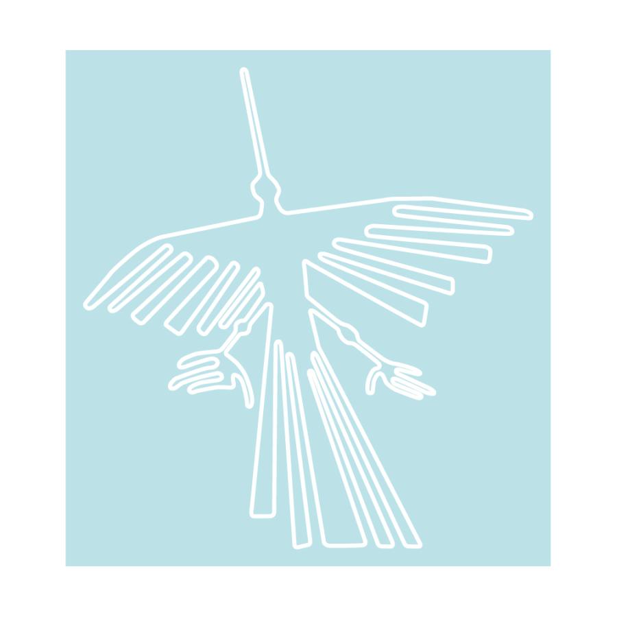 ステッカー ナスカの地上絵 コンドル 大 v Puikko 通販 Yahoo ショッピング