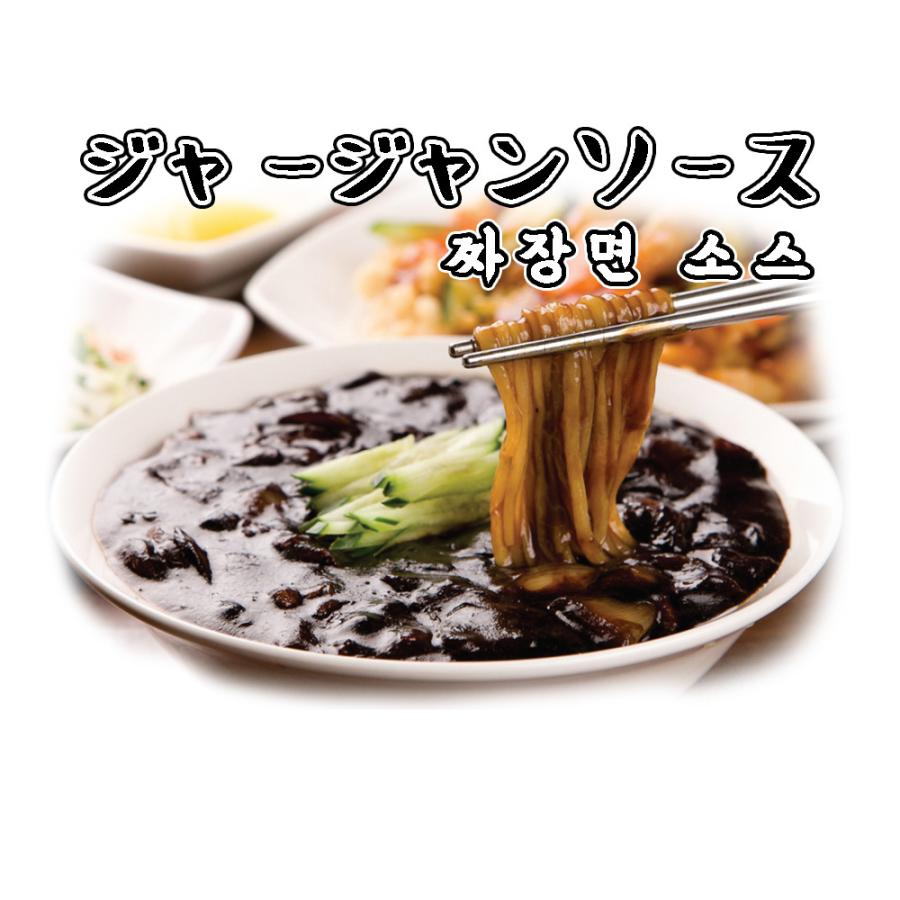 ジャージャンソース 麺なし チャジャンミョン チャンポン 再再販 韓国中華 ジャージャー麺 美味しい 豚肉 具沢山 野菜