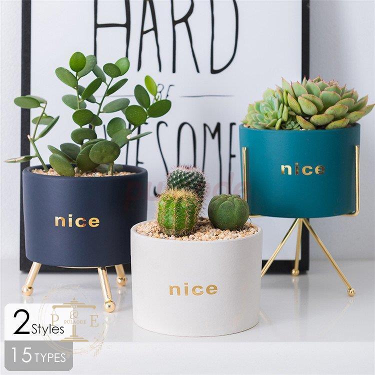 魅力的な ギフト グリーン 鉢植え かわいい 植木鉢 母の日 花 華やか おしゃれ ネイビー プレゼント 栽培 通販 ガーデニング 花瓶 プランター ホワイト 鉢 プランターカバー