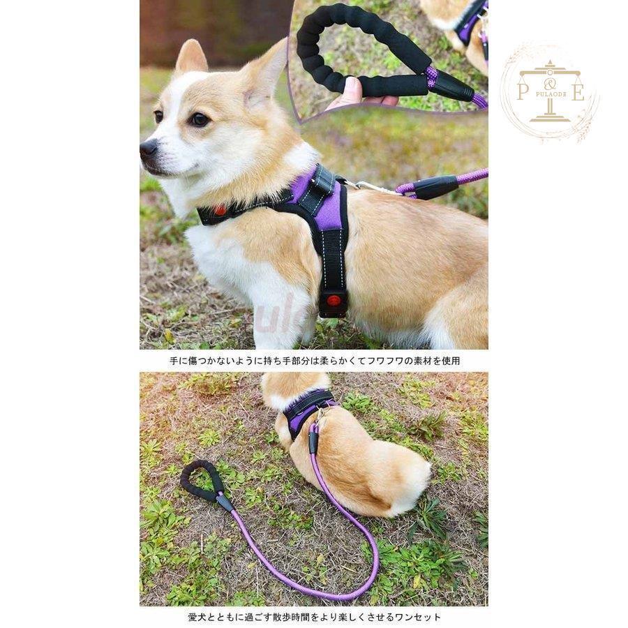 リード ハーネス セットアップ 胴輪 犬服 ２点セット 小型犬 中型犬