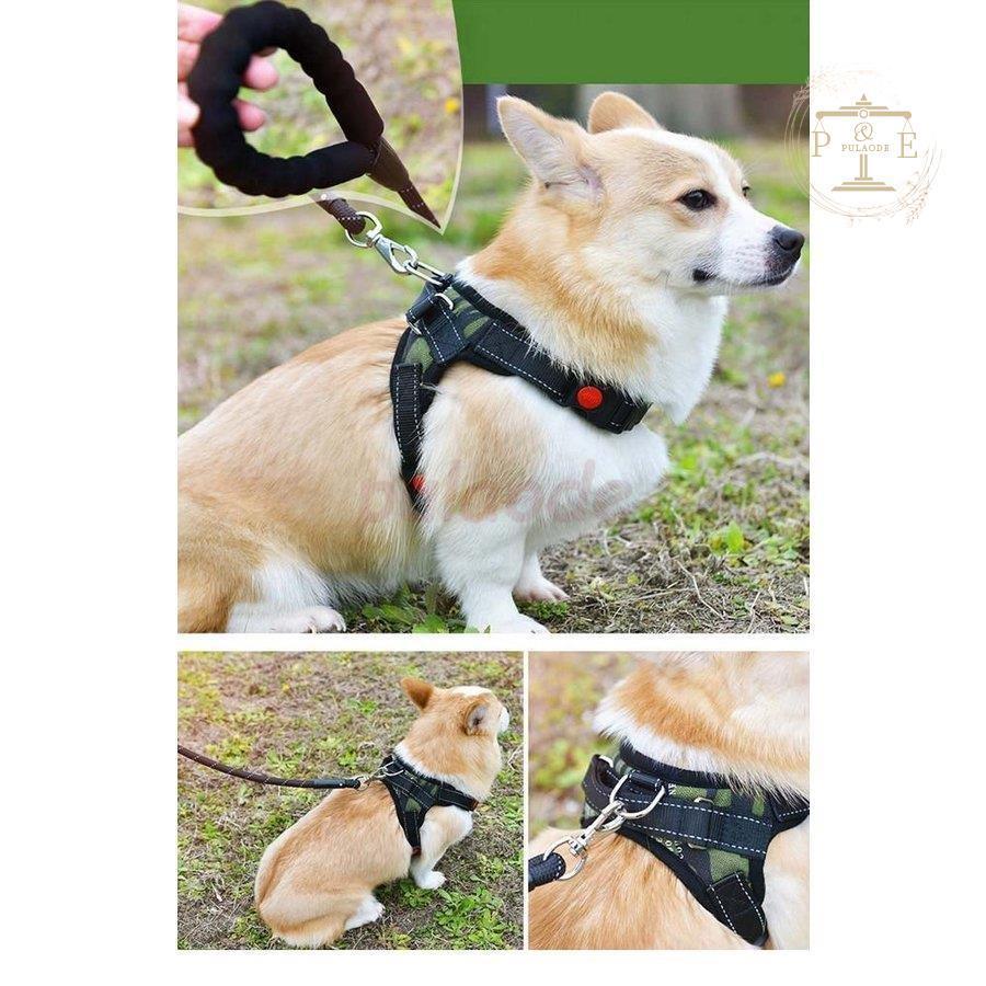 リード ハーネス セットアップ 胴輪 犬服 ２点セット 小型犬 中型犬