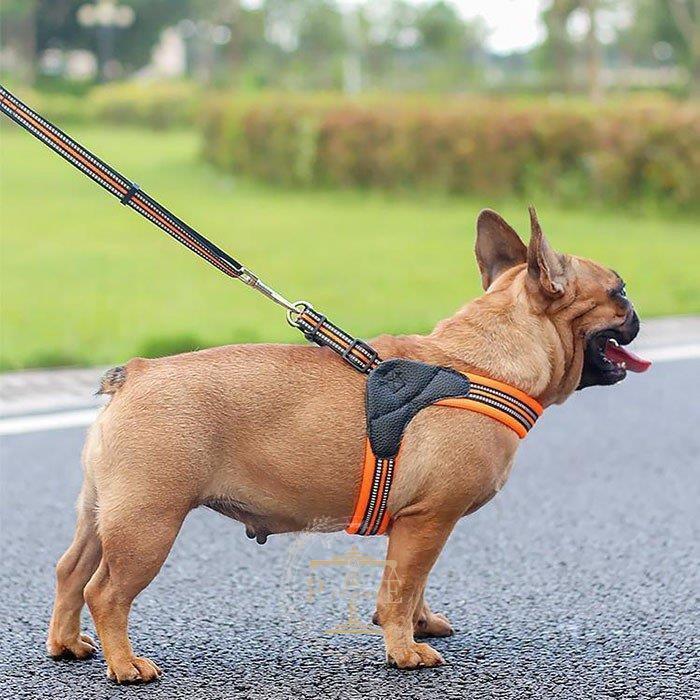 ハーネス 犬 おしゃれ 小型犬 大型犬 中型犬 犬のハーネスリード 脱げない 発光バンド 散歩 首輪 ペット用品 Rx0518 Pedo9 プラウド 通販 Yahoo ショッピング