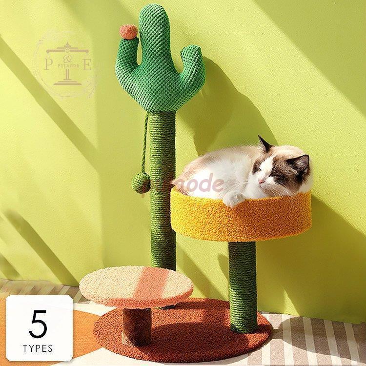 格安即決 ペット用品 ペットグッズ ペットおもちゃ 爪とぎ サボテン 癒し 遊び ストレス解消 運動 可愛い グリーン公園 愛情 きれい 愛犬 簡単 ハイセンス 癒し 正規品 Www Miamiconservatoryofmusic Com
