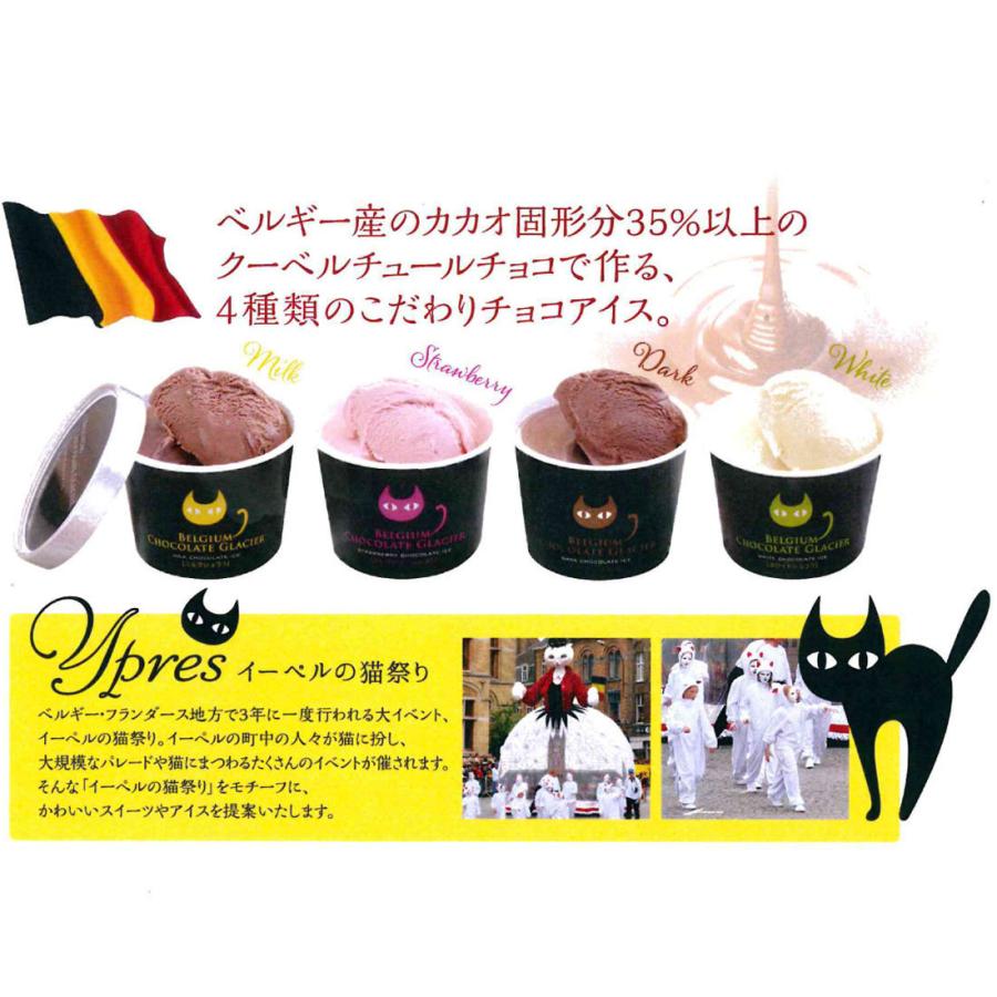 送料無料 イーペルの猫祭り ベルギーチョコレートグラシエ アイス職人 4種類10個入 お祝い 代引き不可 お取り寄せ Ah gr Regaloセレクトギフト 通販 Yahoo ショッピング