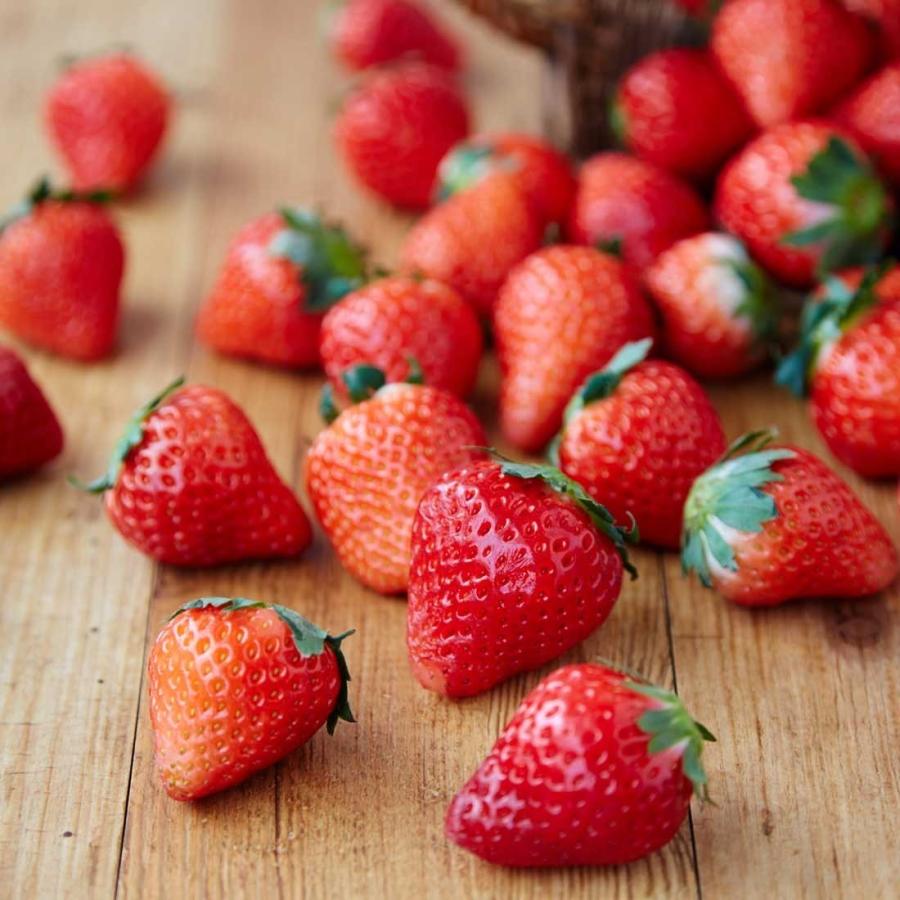 送料無料 完熟いちごロール1個 ジェラート 苺づくし 4個 2種類 詰め合わせ セット ロールケーキ いちごミルク B