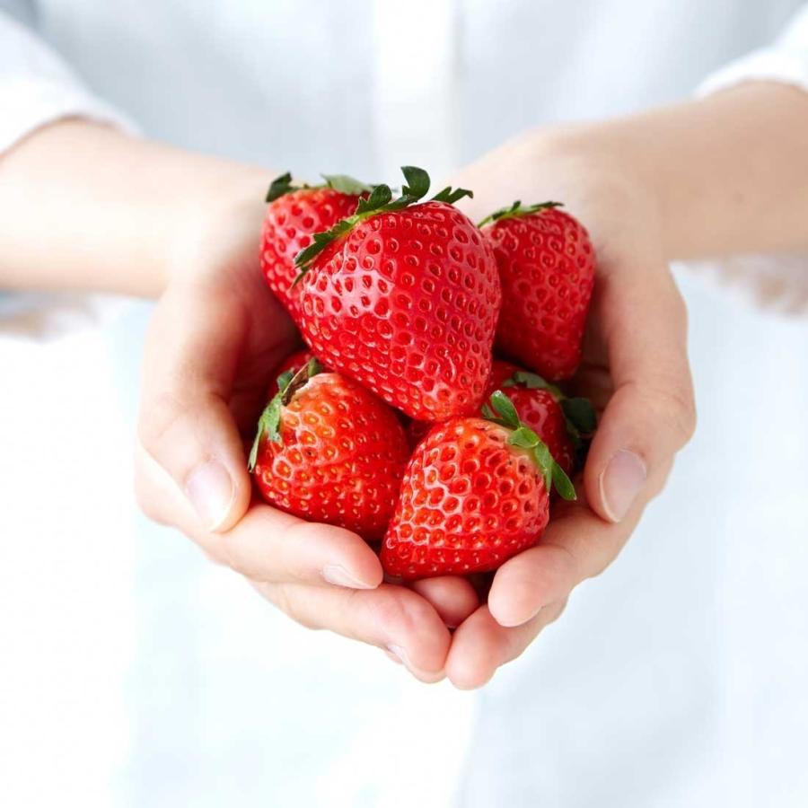 送料無料 完熟いちご菓子研究所 セット ジェラート2個 C 苺づくし 完熟いちごロール1個 パンケーキ 詰め合わせ 3個 いちごミルク