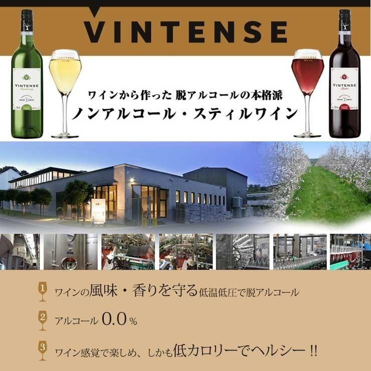 送料無料 ノンアルコールワイン 6本セット ヴィンテンス VINTENSE シャルドネ 白ワイン やや辛口 ベルギー産  750ml｜pulchrade-shop｜03