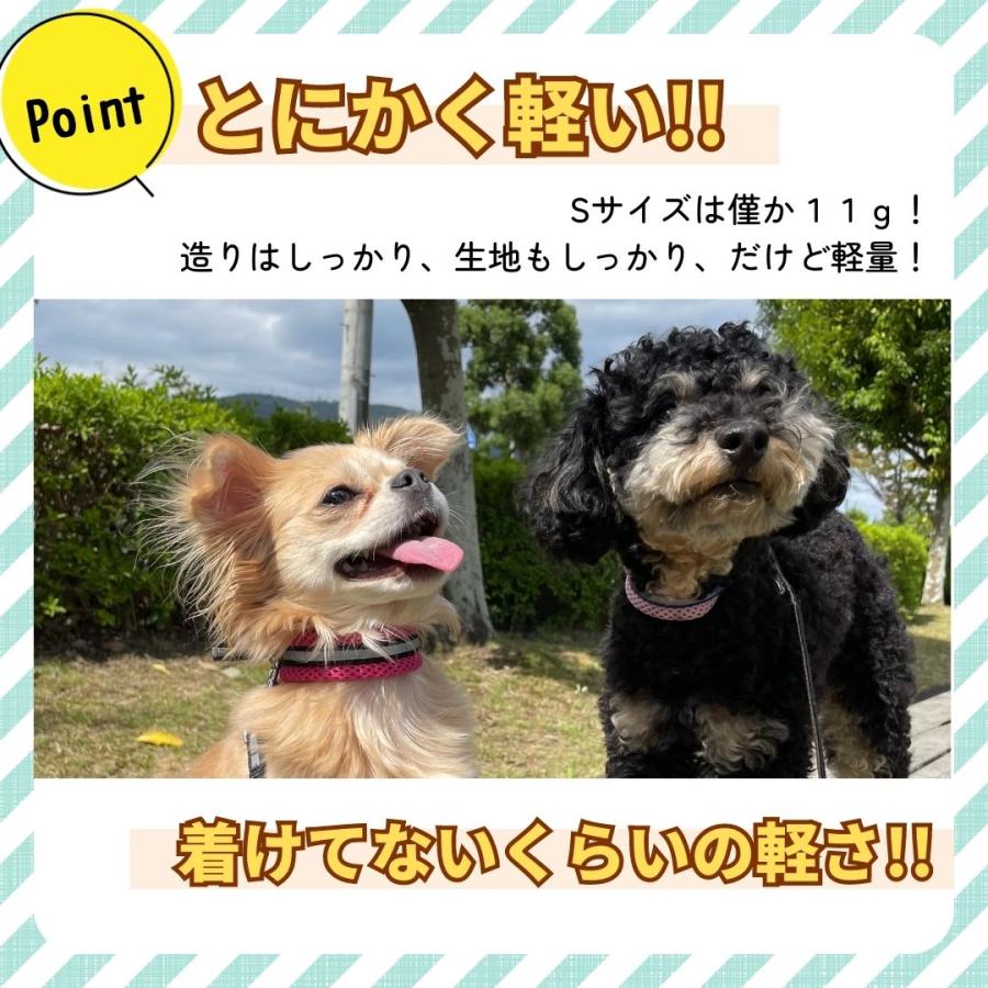 犬 子犬 犬の 首輪 小型犬 犬用首輪 リード セット 犬首輪 中型犬 猫