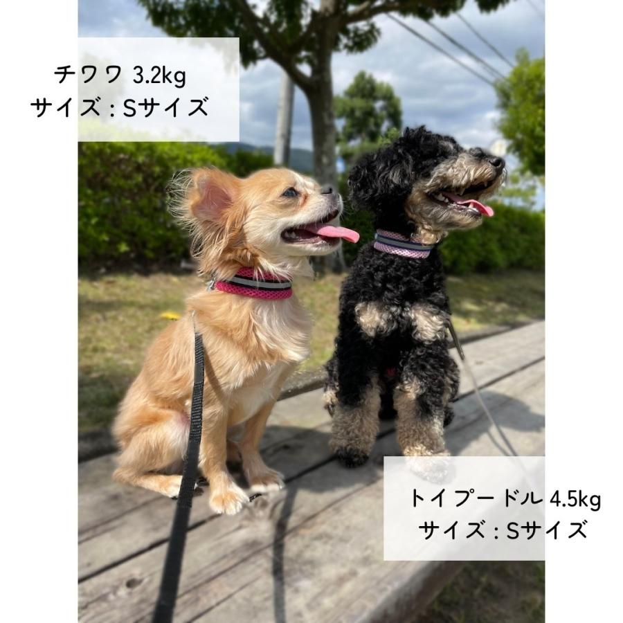 犬 子犬 犬の 首輪 小型犬 犬用首輪 リード セット 犬首輪 中型犬 猫