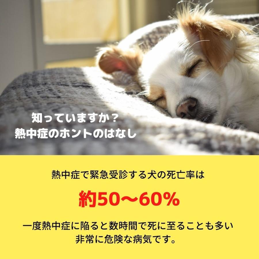 犬 犬用 クールネック ネッククーラー ひんやりグッズ 保冷剤 クールリング 犬熱中症対策グッズ ペット アイスリング 冷却ネック クールバンダナ 犬 |  | 02