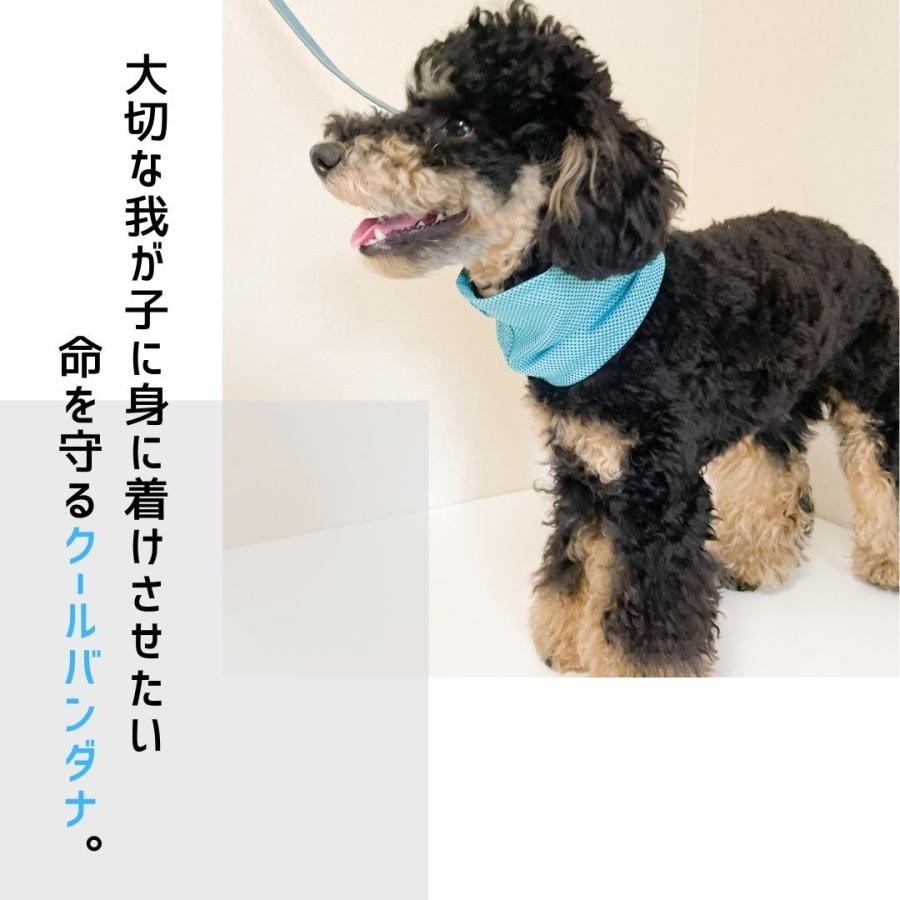 犬 犬用 クールネック ネッククーラー ひんやりグッズ 保冷剤 クールリング 犬熱中症対策グッズ ペット アイスリング 冷却ネック クールバンダナ 犬 |  | 03