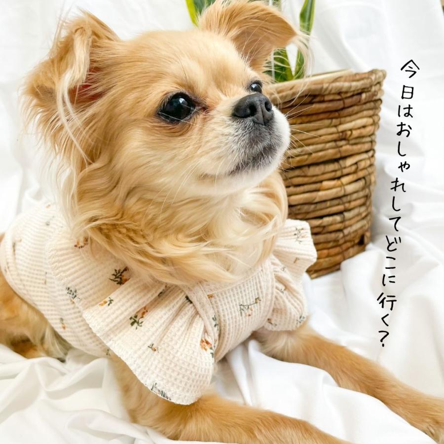 わかば○犬服○ハンドメイド 胴58 NO.682 フレブル フレンチブルドッグ