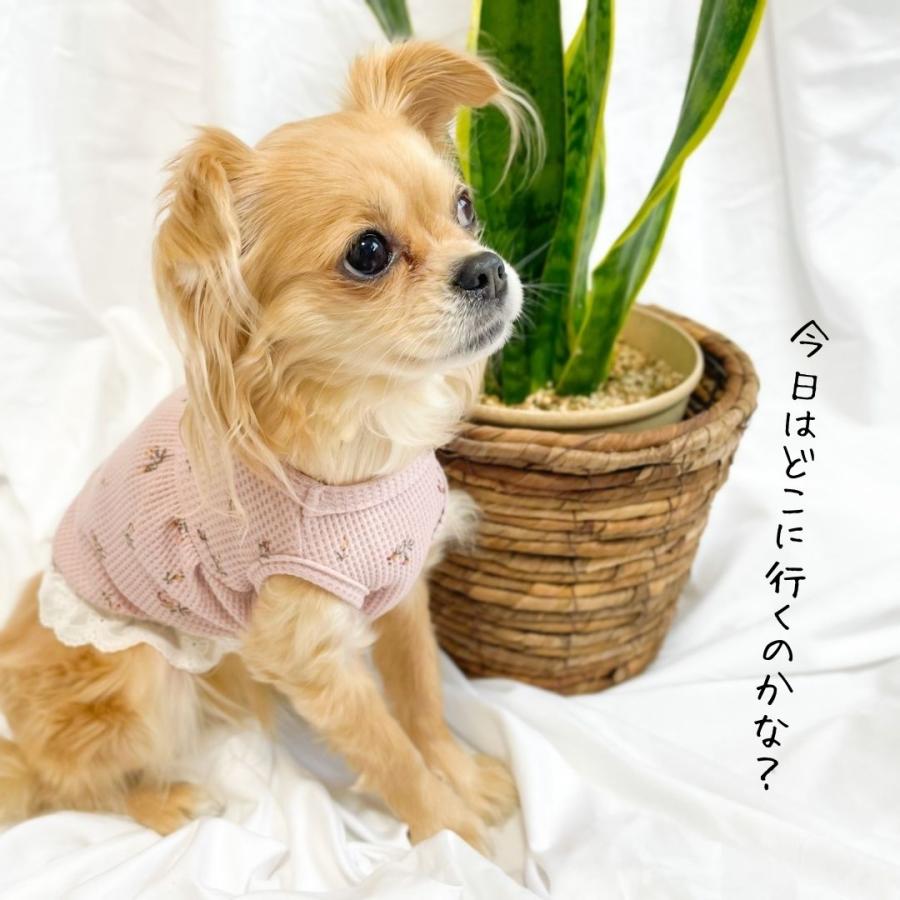 チワワ 服 犬の服 犬服 秋 冬 夏服 フレブル 柴犬 ダックス トイ