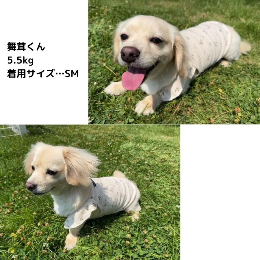 チワワ 服 犬の服 犬服 秋 冬 夏服 フレブル 柴犬 ダックス トイ