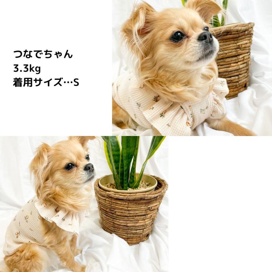 チワワ 服 犬の服 犬服 秋 冬 夏服 フレブル 柴犬 ダックス トイ
