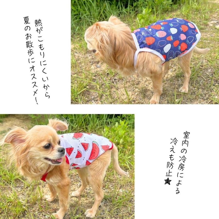 犬 服 犬の服 犬服 夏 夏服 メッシュ チワワ トイプードル イタグレ