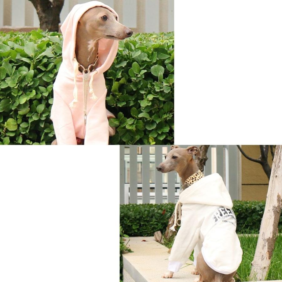 イタグレ ミニピン 服 犬服 犬の服 春 春服 ピンシャー ウィペット