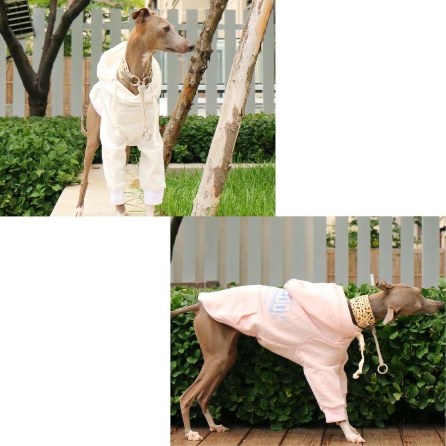 イタグレ ミニピン 服 犬服 犬の服 春 春服 ピンシャー ウィペット