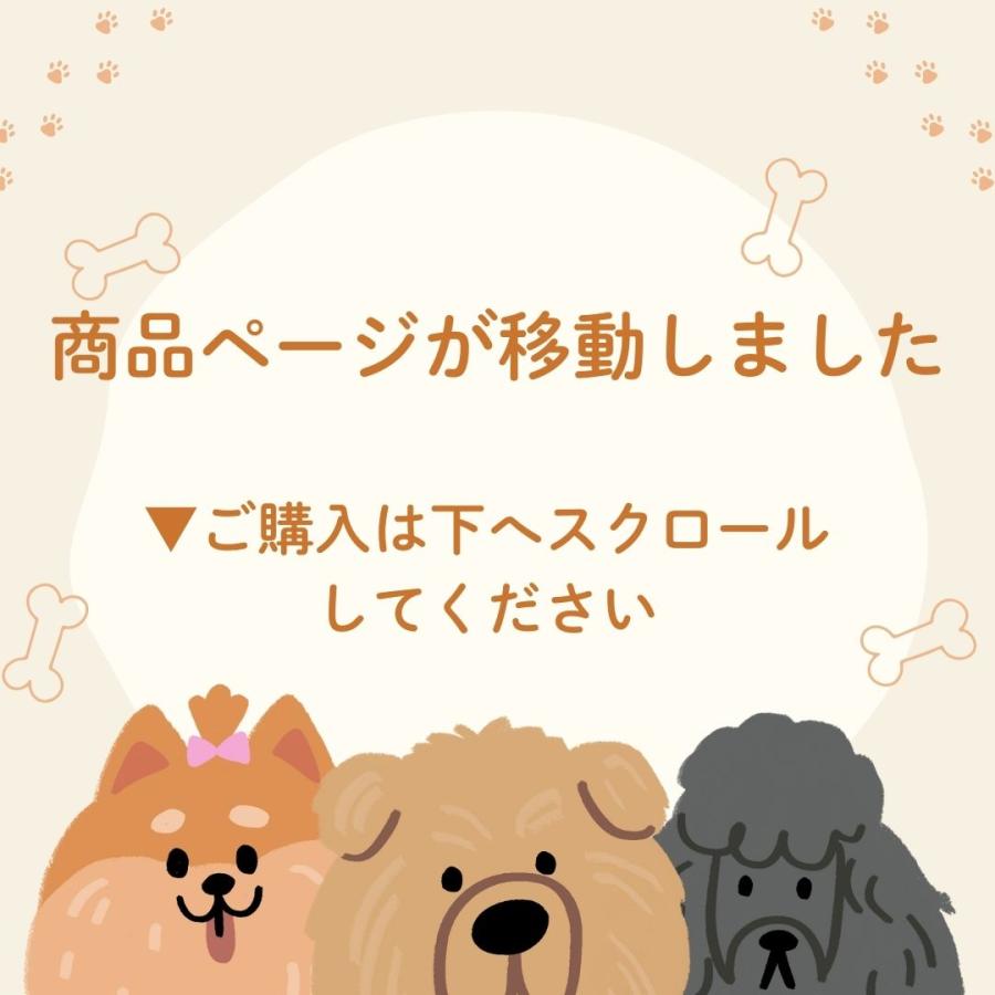 犬 靴 脱げない 靴下 滑り止め 夏 夏用 犬の靴 散歩用 犬用靴 ドッグシューズ メッシュ 小型犬 犬のくつ ナックリング メッシュプロテクトシューズ |  | 01