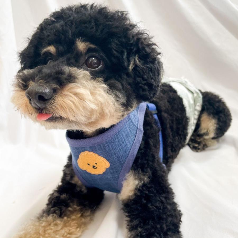 犬用ハーネス 犬 ハーネス 犬のハーネス リード付きハーネス トイプードル ビション 小型犬 中型犬 おしゃれ 胴輪 もこもこドッグハーネス
