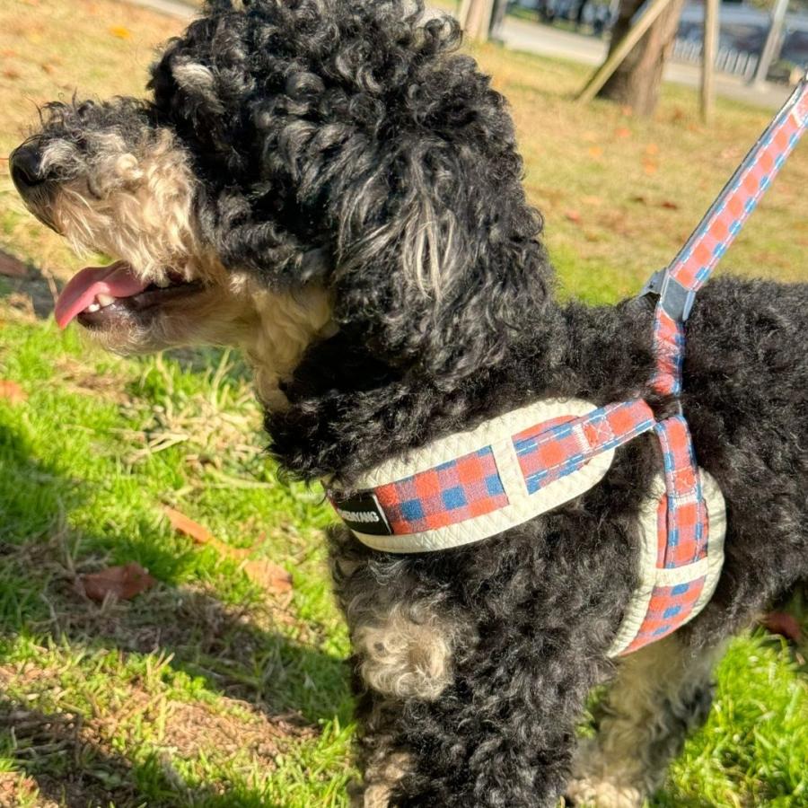 在庫限り 犬 ハーネス 犬用ハーネス 小型犬 中型犬 おしゃれ 犬の