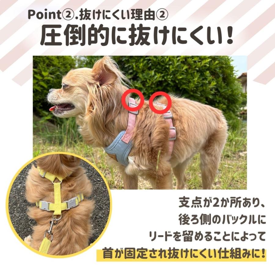 チワワ 小型犬 犬 ハーネス 超小型犬 胴輪 リード セット 負担が少ない