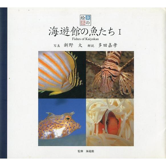 海遊館の魚たち　I | 