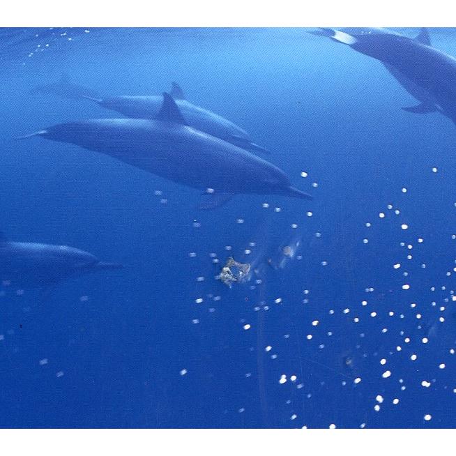 ａｑｕａ　高砂淳二写真集　 |  | 01