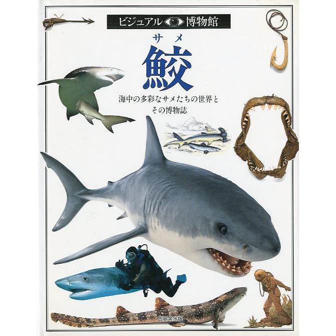 ビジュアル博物館　鮫 | 