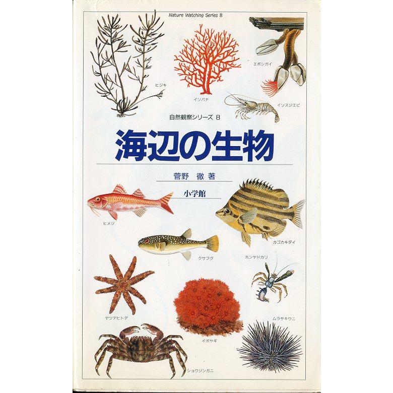 自然観察シリーズ8　海辺の生物　 | 