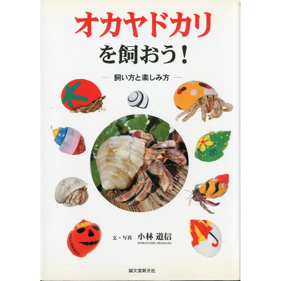 オカヤドカリを飼おう！　−飼い方と楽しみ方ー | 