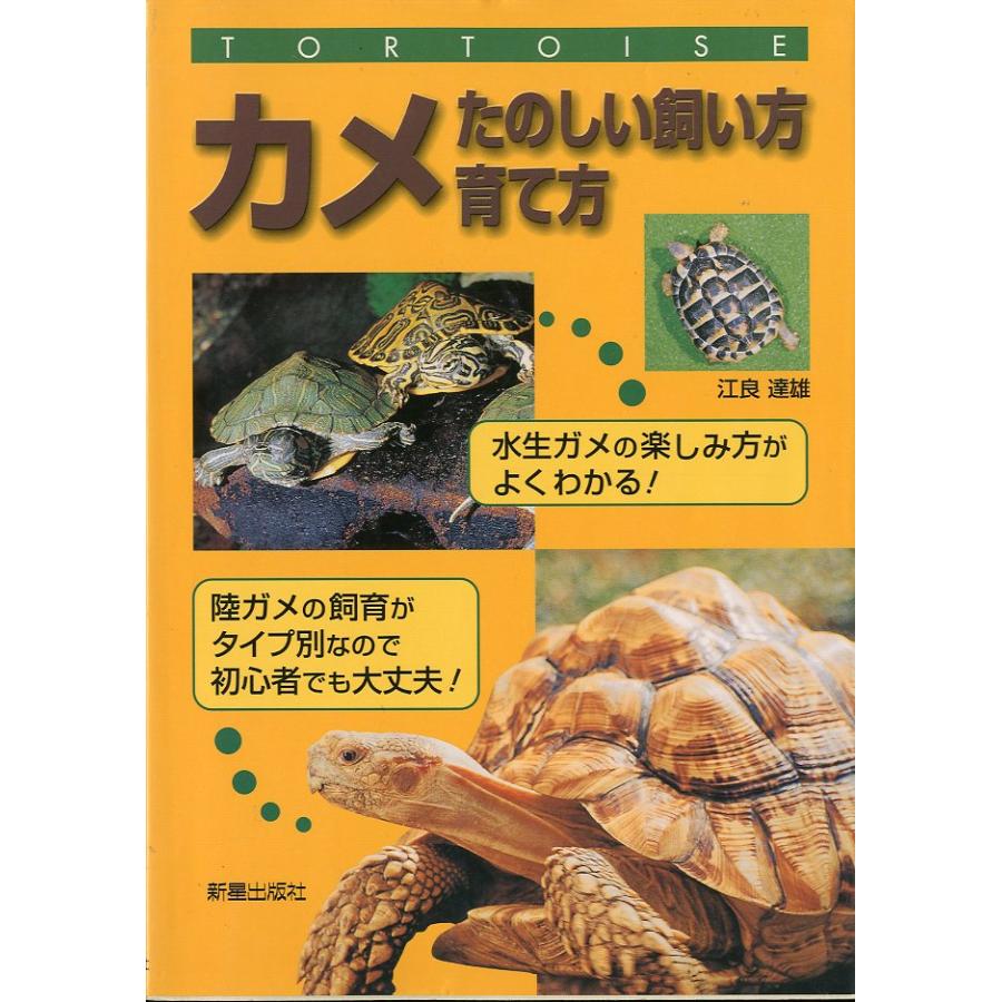 カメ　たのしい飼い方・育て方 | 