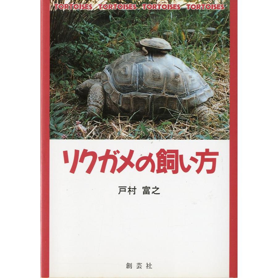 リクガメの飼い方 | 