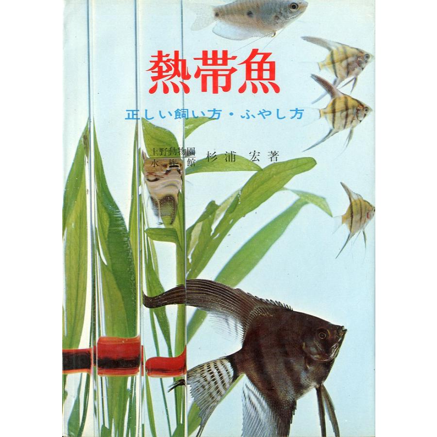 「熱帯魚」正しい飼い方・ふやし方 | 