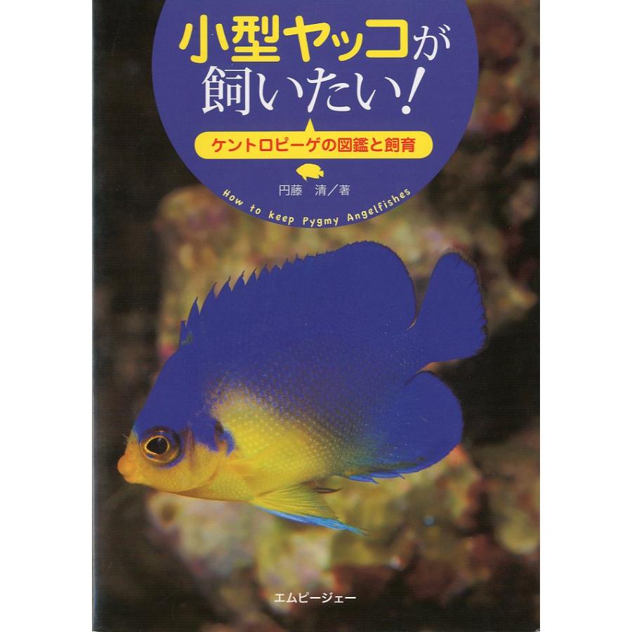[アクアライフの本]　小型ヤッコが飼いたい！　−ケントロピーゲの図鑑と飼育ー | 