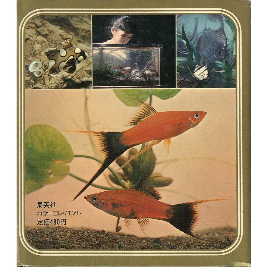 ーCOLOUR COMPACTー　熱帯魚 |  | 01
