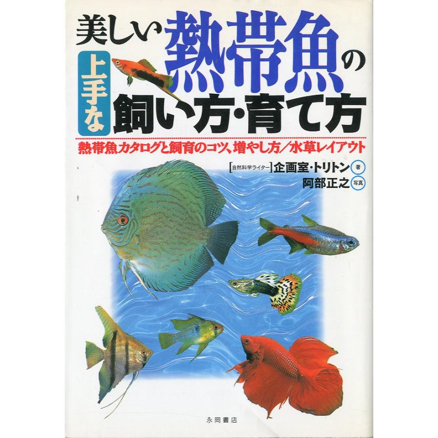 美しい熱帯魚の上手な飼い方・育て方 | 