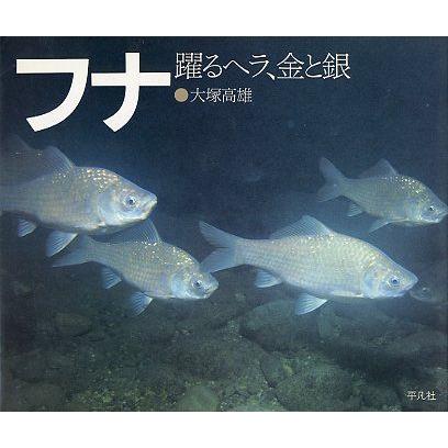 フナ　躍るヘラ、金と銀 | 