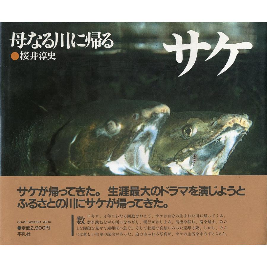 サケ　母なる川に帰る | 