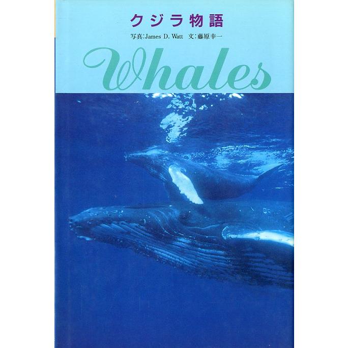 クジラ物語　 | 