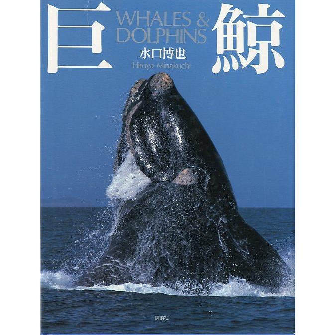 巨鯨　WHALES & DOLPHINS　　−状態表記をご確認くださいー　＜送料無料＞ | 