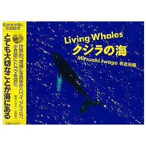 クジラの海　 | 