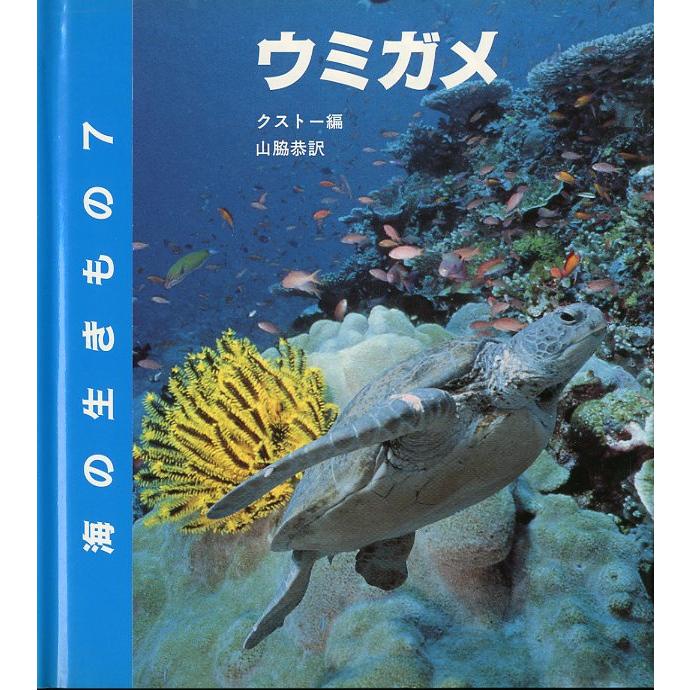 海の生きもの５　ウミガメ　 | 