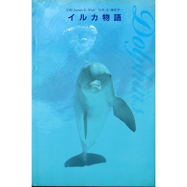 イルカ物語　 | 