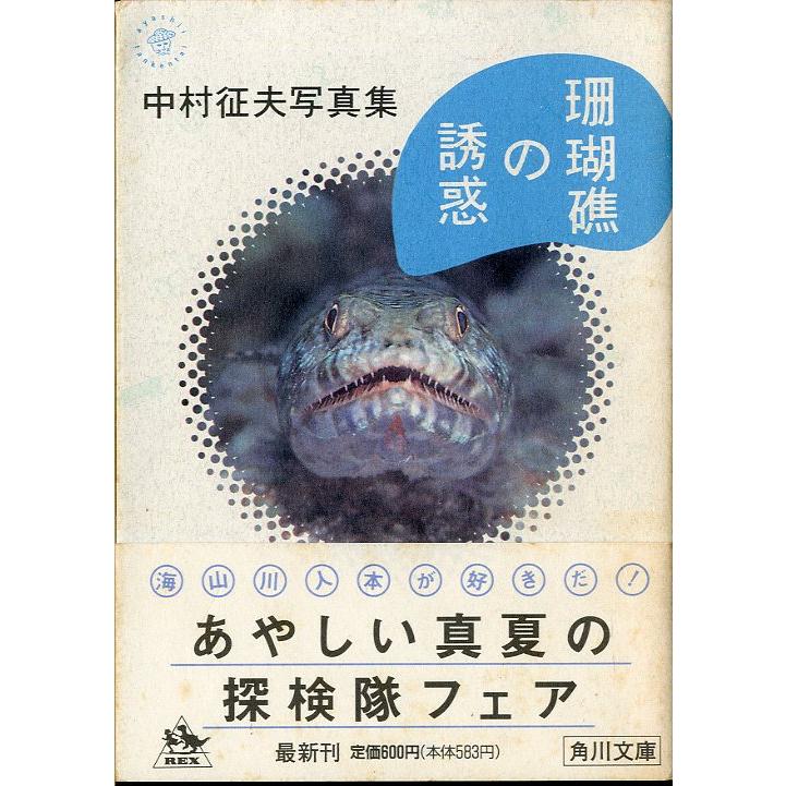 角川文庫「珊瑚礁の誘惑」中村征夫写真集　＜送料無料＞ | 