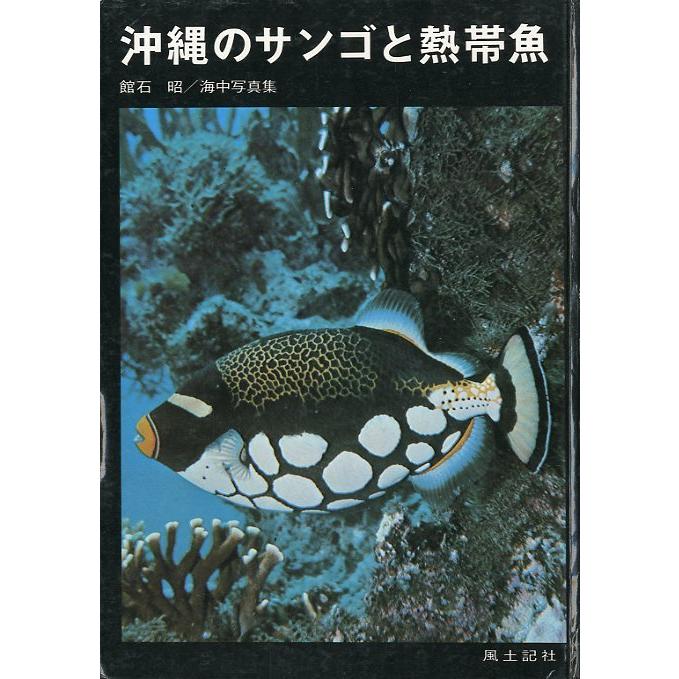 沖縄のサンゴと熱帯魚　 | 