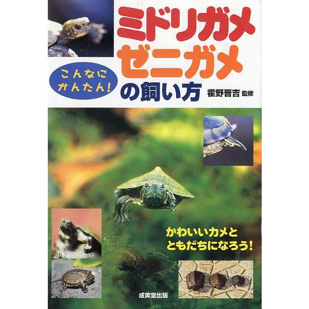 ミドリガメ ゼニガメの飼い方 送料無料 F2805 さかなの本屋さん ヤフー店 通販 Yahoo ショッピング