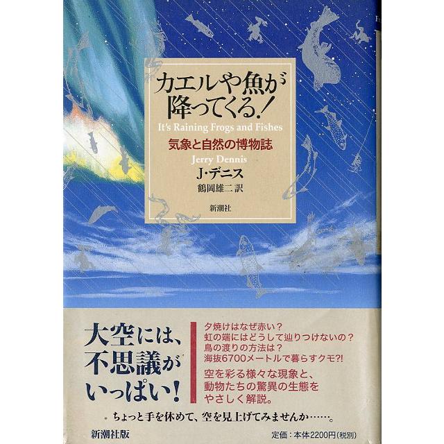 カエルや魚が降ってくる！　　＜送料無料＞ | 