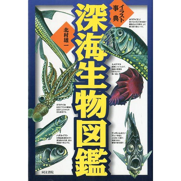 イラスト事典 深海生物図鑑 送料無料 F3690 さかなの本屋さん ヤフー店 通販 Yahoo ショッピング